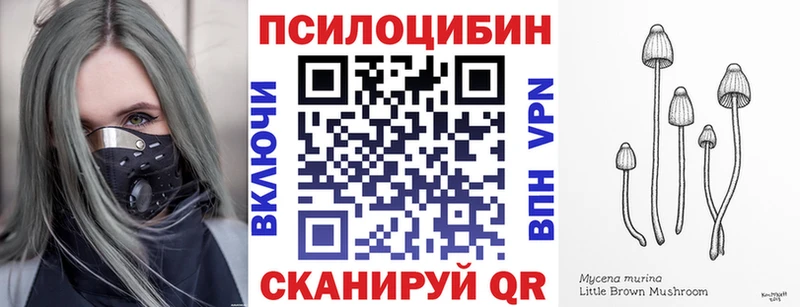 Купить  Сорочинск  Галлюциногенные грибы прущие грибы 